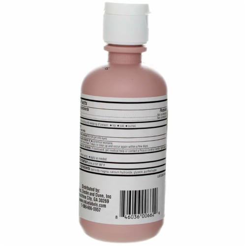 GoodSense Calamine Lotion, 6 fl oz Perspective: top