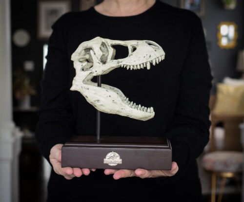 Jurassic World 9x8 Inch Tyrannosaurus Rex Skull Resin Replica Perspective: top