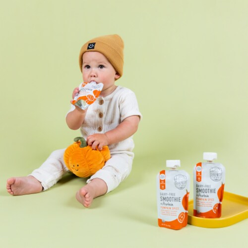Serenity Kids Dairy Free Smoothies, Pumpkin Spice Pouch Perspective: top