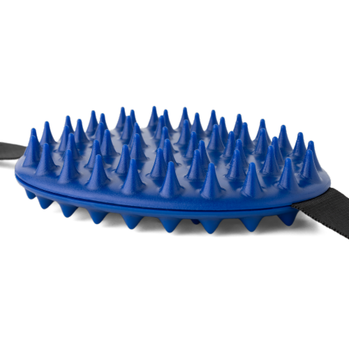 The Cactus Scratcher Original Cactus Back Scratcher, Aggressive and Soft Spikes Scratchers, 1
