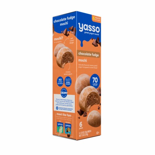 Yasso Frozen Greek Yogurt Chocolate Mochi Perspective: top