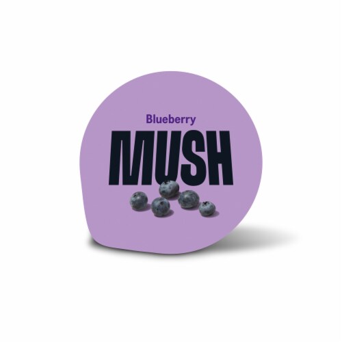 MUSH Blueberry Overnight Oats Perspective: top