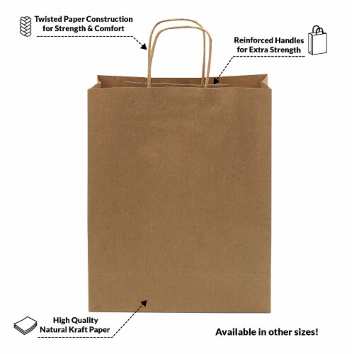 Strong Brown Kraft Paper Grocery Carrier Eco Bag With Premium Quality Pack of 10 