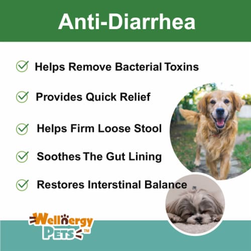 Anti-Diarrhea for Dogs and Cats(4 oz) (Syringe included) Perspective: top