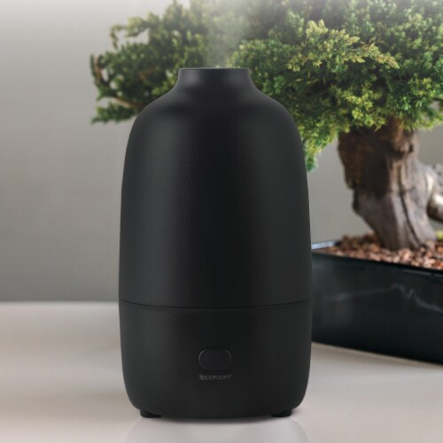 Raven Essential Oil Diffuser Perspective: top