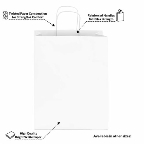 Prime Line Packaging White Paper Shopping Bags with Handles Gift Bags, Bulk  25 Pack – 10x5x13, 25 Pcs - Pick 'n Save