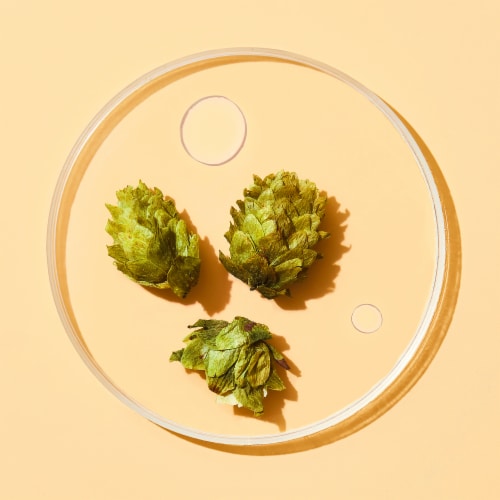 Function of Beauty® Lengthen Hair Goal Booster Shots with Hops Extract Perspective: top