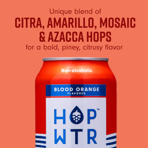HOP WTR™ Blood Orange Non-Alcoholic Sparkling Hop Water Perspective: top