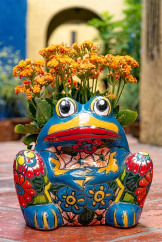 Evergreen Talavera Frog Planter Perspective: top