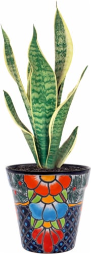 Evergreen Talavera Vase Perspective: top