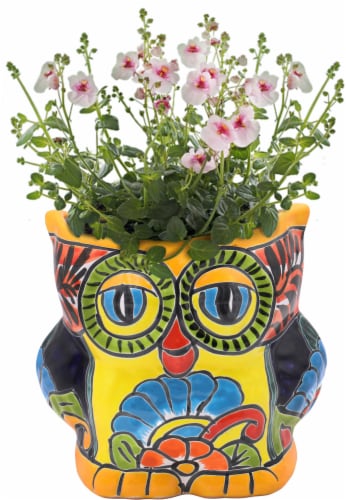 Evergreen Talavera Owl Planter Perspective: top
