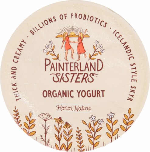 Painterland Sisters™ Organic Skyr Strawberry Yogurt Perspective: top