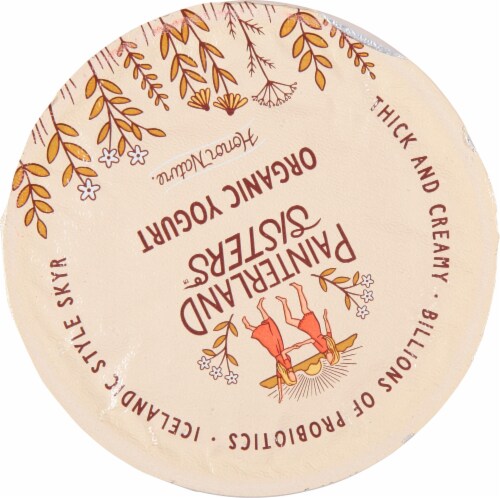Painterland Sisters™ Meadow Berry 6% Milkfat Organic Skyr Yogurt Cup Perspective: top