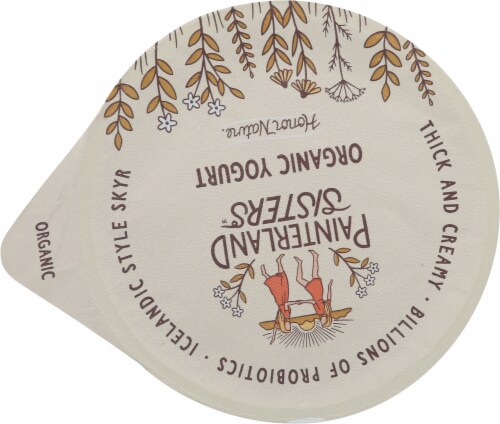 Painterland Sisters™ Peach Organic Skyr Yogurt Cup Perspective: top