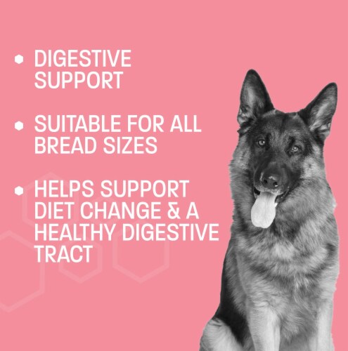 Pet Health Pros - Advanced Probiotics for Dogs - Promotes Happy Gut, Happy Dog Perspective: top