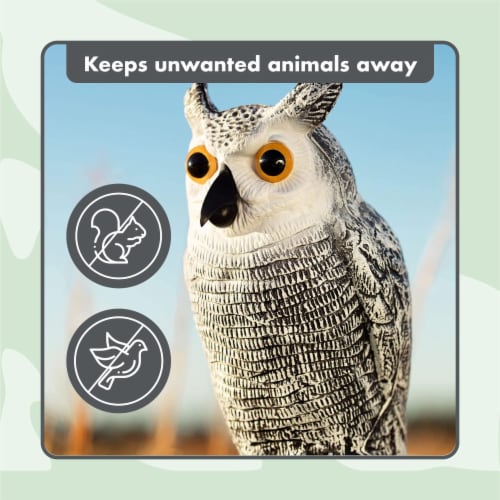 BIRD BLINDER Fake Owl Decoy Set of 3 Gray - Scare Birds Away! Perspective: top