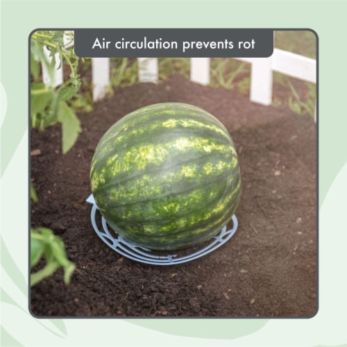 Homarden Melon Cradle, Pumpkin Support, Watermelon Holder Stand Trellis (Set of 12) Perspective: top