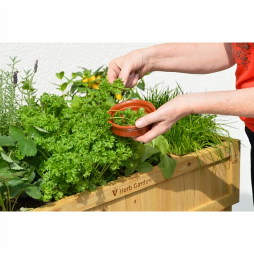 VegTrug Herb Garden (divider) Gray Wash FSC 100% Perspective: top