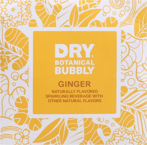 DRY® Botanical Bubbly Ginger Soda Perspective: top