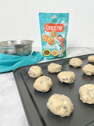Raised Gluten Free Chocolate Chip Cookie Mix Perspective: top