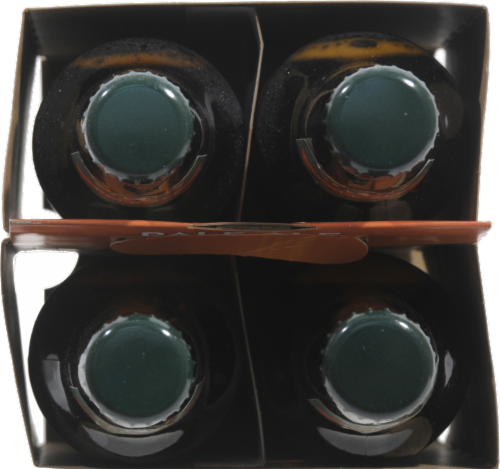 New Planet Off Grid Pale Ale Perspective: top