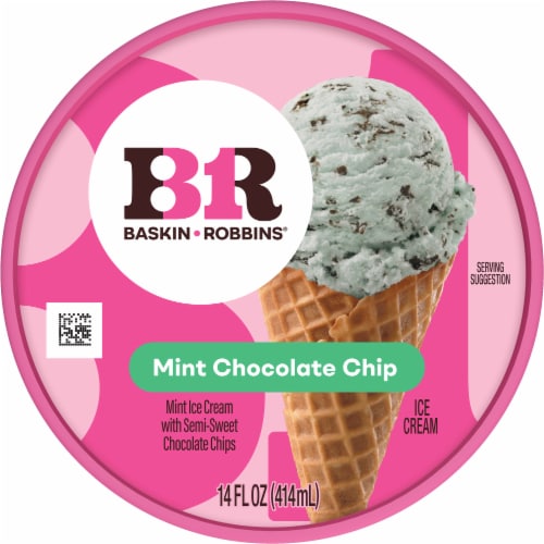 Baskin Robbins Mint Chocolate Chip Ice Cream Perspective: top