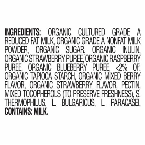 Happy Baby Organic Yogis Freeze-Dried Yogurt & Fruit Snacks Mixed Berry Bag Perspective: top