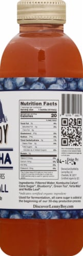 Lenny Boy Wake Up Call Kombucha Perspective: top
