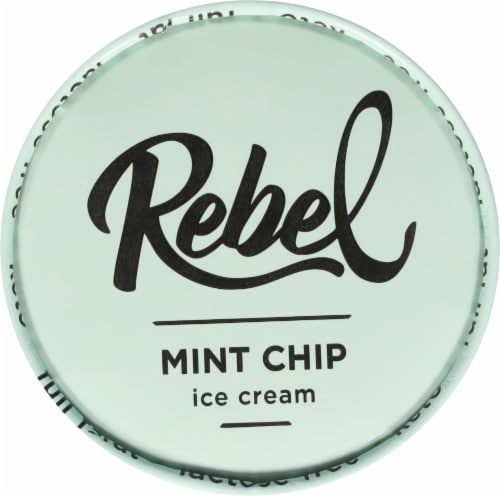 Rebel Keto Mint Chip Ice Cream Pint Perspective: top