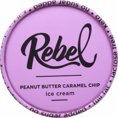 Rebel Peanut Butter Caramel Chip Keto Ice Cream Perspective: top