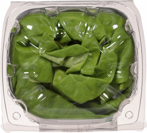 Gotham Greens® Butterhead Living Lettuce Perspective: top