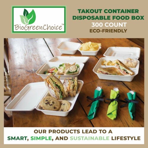 6x6x3 Eco-Friendly Disposable Takeout Box / Burger Box (500 Count) –  BioGreenChoice