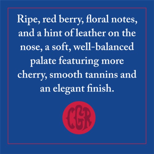 Chevalier du Grand Robert Pinot Noir Perspective: top