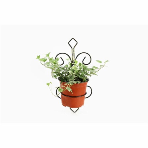 ORE International LB-1717 16 in. Single Pot Cast-Iron Crest Wall Planter Decor Perspective: top