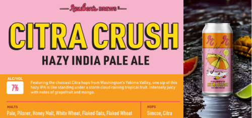 Reuben's Brews Crush Rotating Series Beer Perspective: top