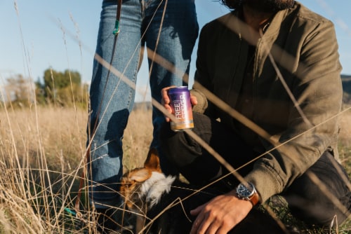 Freeseeker Rosé Single Can Perspective: top