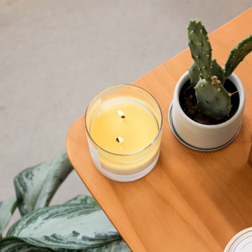 Calyan Wax Co. Musk + Teakwood Glass Soy Candle - White Perspective: top