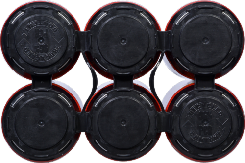 SanTan Devils Ale Perspective: top
