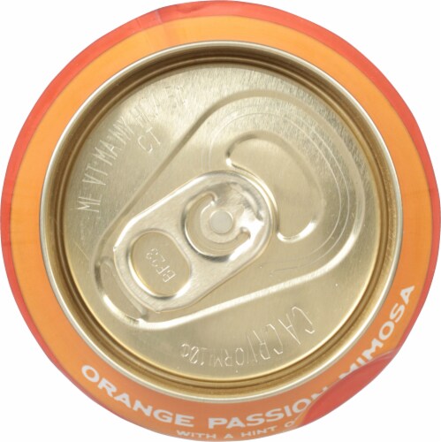 Flying Embers Hard Kombucha Single Can Perspective: top