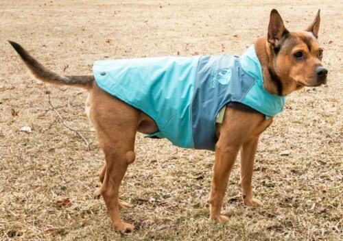 Touchdog Lightening-Shield Waterproof 2-in-1 Convertible Dog Jacket w/ Blackshark technology Perspective: top