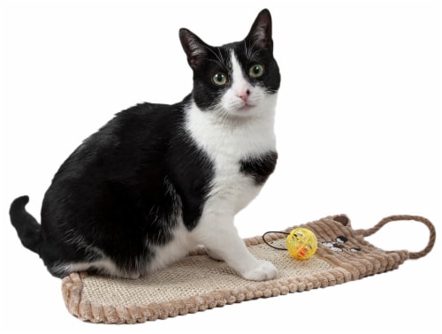 Pet Life ® Eco-Natural Sisal and Jute Hanging Carpet Kitty Cat Scratcher Lounge with Toy