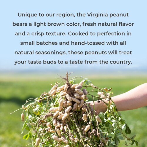 Belmont Peanuts Honey Roasted Virginia Peanuts, 20 oz Perspective: top