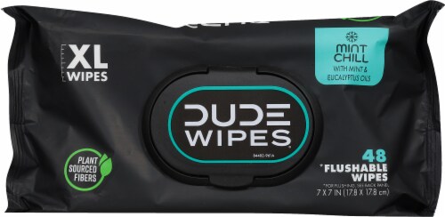 DUDE Wipes Flushable Mint Perspective: top