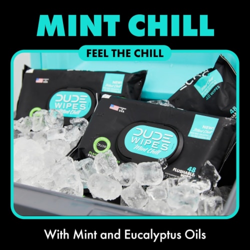 DUDE Wipes® XL Mint Chill Flushable Wipes Perspective: top