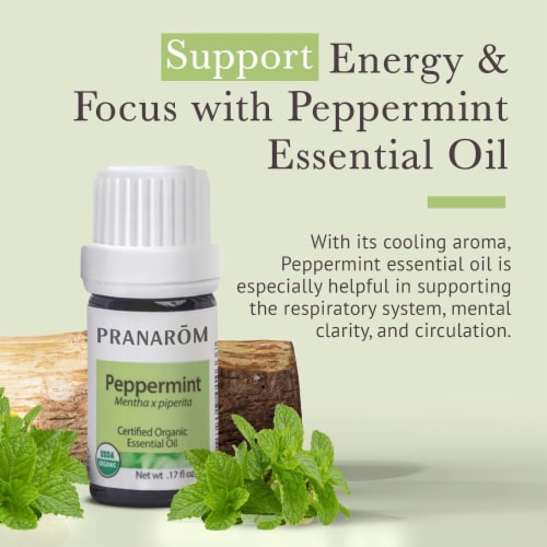 Pranarom Peppermint Essential Oil Perspective: top