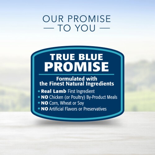 Blue Buffalo Life Protection Formula Lamb & Brown Rice Recipe Natural Adult Dry Dog Food Perspective: top
