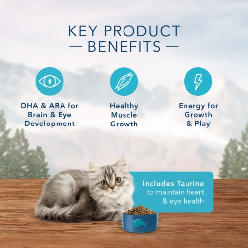 Blue Buffalo™ Wilderness™ Natural Chicken Kitten Dry Cat Food Perspective: top