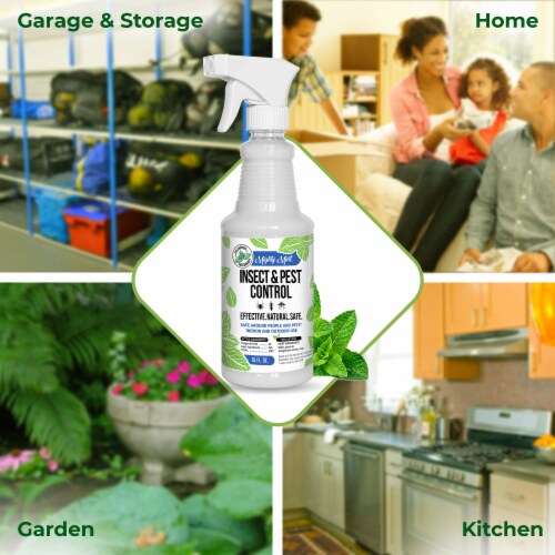 Mighty Mint Insect & Pest Control Spray Perspective: top