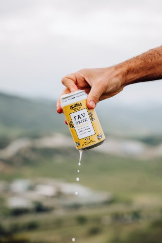 Holidaily Favorite Blonde Gluten Free Craft Beer Perspective: top
