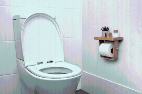 Bamboo Single Toilet Paper Holder with Shelf Perspective: top